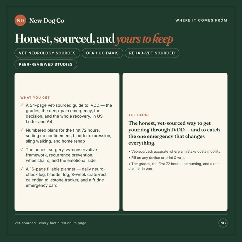 Op de afbeelding: Een donkergroene informatieve afbeelding getiteld New Dog Co: Honest, sourced, and yours to keep. Het beschrijft een 54-pagina tellende, door dierenartsen samengestelde IVDD-gids, inclusief herstelplannen, chirurgische kaders en een 16-pagina planner.