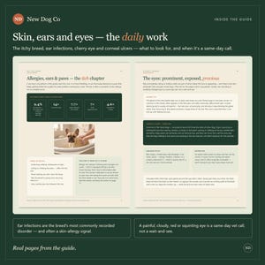 K&ouml;nnte beinhalten: Eine Doppelseite aus dem New Dog Co Leitfaden mit dem Titel Skin, ears and eyes &mdash; the daily work. Die Seiten enthalten Text, Datentabellen und ein Foto einer Franz&ouml;sischen Bulldogge in einer Badewanne mit Informationen zu Hundeallergien.