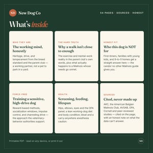Op de afbeelding: Een donkergroene informatieve afbeelding getiteld What's inside door New Dog Co. Het bevat zes witte rechthoekige panelen met details over Belgische Mechelse herders, inclusief secties over werkdrift, bewegingsbehoefte, geschiktheid, training, gezondheid en bronvermelding.