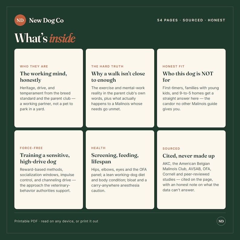 Op de afbeelding: Een donkergroene informatieve afbeelding getiteld What's inside door New Dog Co. Het bevat zes witte rechthoekige panelen met details over Belgische Mechelse herders, inclusief secties over werkdrift, bewegingsbehoefte, geschiktheid, training, gezondheid en bronvermelding.