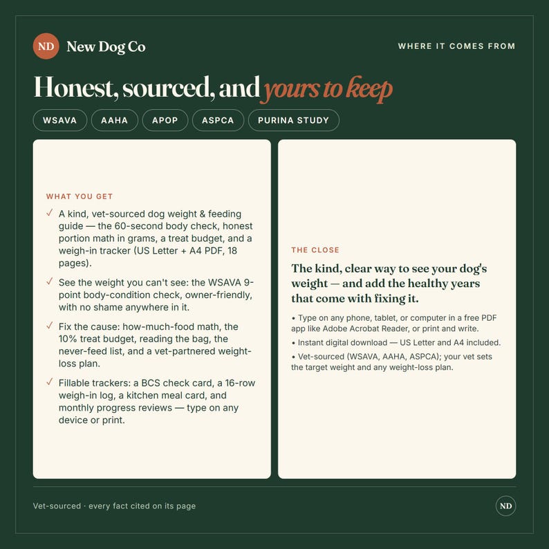 K&ouml;nnte beinhalten: Ein digitaler Leitfaden f&uuml;r Hundegewicht und F&uuml;tterung von New Dog Co. Das dunkelgr&uuml;ne Dokument enth&auml;lt wei&szlig;e Textfelder mit Details zu einem 60-Sekunden-K&ouml;rpercheck, Portionsberechnungen in Gramm, einem Leckerli-Budget und einem Gewichtsprotokoll.