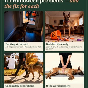 May include: An informational guide titled 111 Halloween problems &mdash; and the fix for each by NewDogCo. It features four panels showing a dog barking at a door, a dog with a candy bucket, a dog walking past a ghost inflatable, and dog CPR.