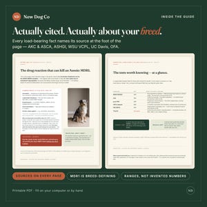 May include: A two-page informational guide titled New Dog Co Inside the Guide, featuring text about Australian Shepherd health, specifically MDR1 drug reactions. It includes a photo of a blue merle Australian Shepherd and various data tables.