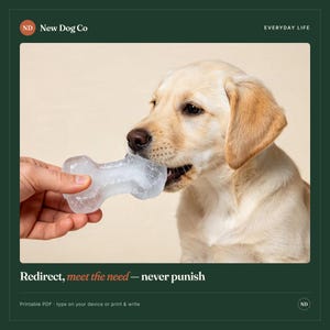 May include: A light-colored puppy with floppy ears holds a clear, bone-shaped ice chew in its mouth. The text on the image reads: New Dog Co, EVERYDAY LIFE, Redirect, meet the need &mdash; never punish, and Printable PDF &middot; type on your device or print & write.