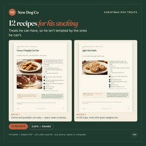 May include: A digital document titled New Dog Co Christmas Dog Treats featuring 12 recipes for his stocking. It displays two pages with Carrot & Pumpkin Cut-Outs and Apple-Oat Cookies, including ingredient lists, baking instructions, and photos of treats.