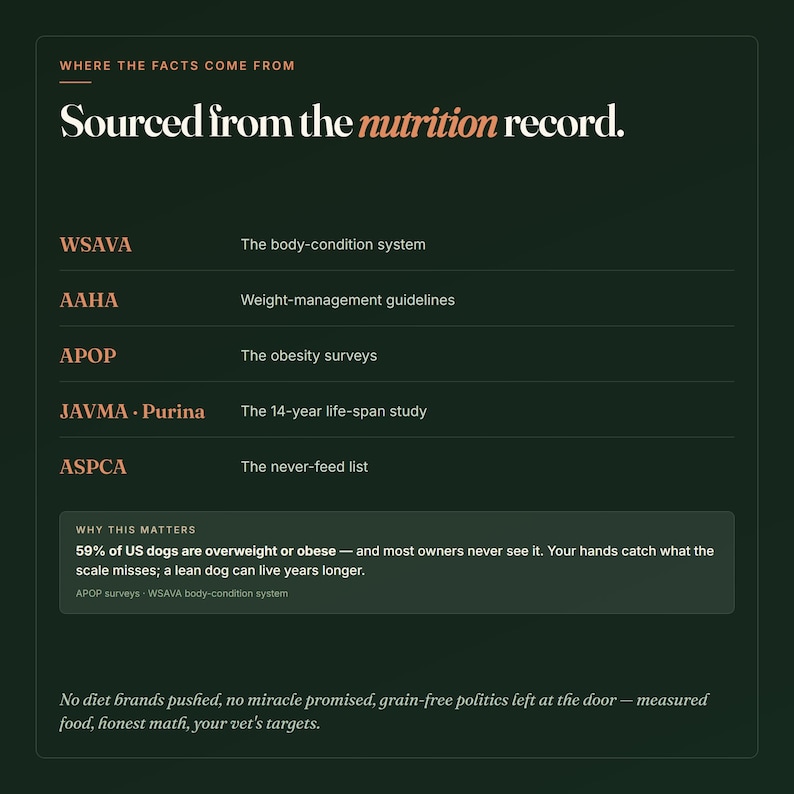 Puede incluir: Un gr&aacute;fico informativo verde oscuro titulado Sourced from the nutrition record. Enumera organizaciones como WSAVA, AAHA, APOP, JAVMA, Purina y ASPCA junto a sus directrices. Un recuadro destaca que el 59% de los perros en EE. UU. tienen sobrepeso.