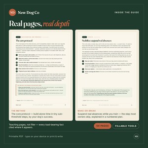 Separation Anxiety Training Guide | 8-Step Force-Free Method (PDF) image 3