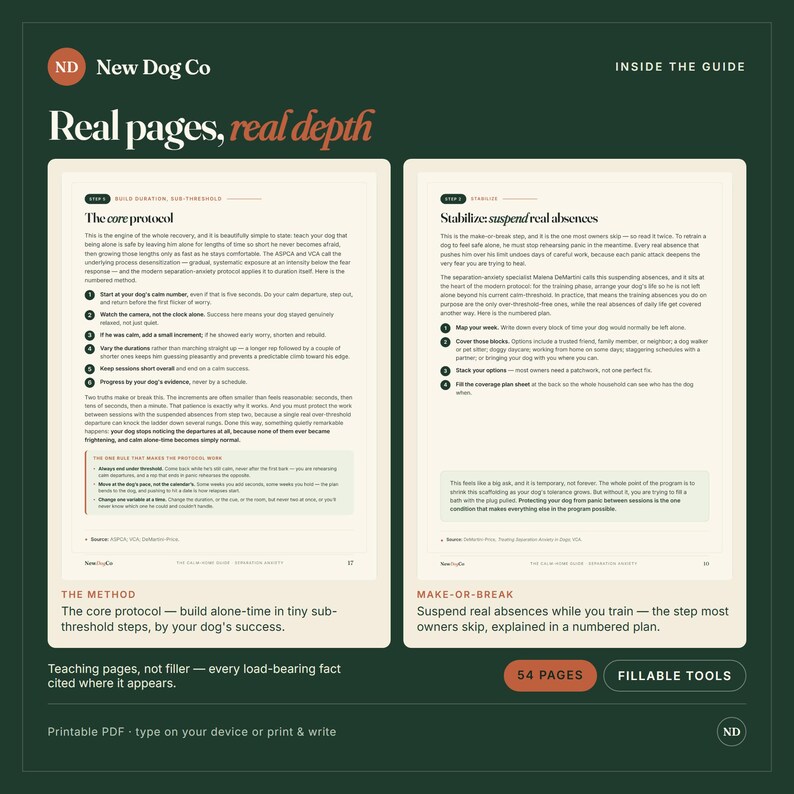 Separation Anxiety Training Guide | 8-Step Force-Free Method (PDF) image 3