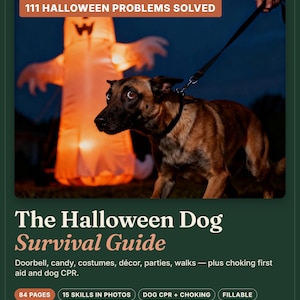 May include: A digital guide titled The Halloween Dog Survival Guide by NewDogCo. The cover features a brown dog on a leash with a glowing orange ghost decoration in the background. Text includes 111 Halloween Problems Solved and 84 pages.