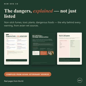 May include: Three informational pages from a pet care guide titled The dangers, explained &mdash; not just listed. The pages cover dangerous foods, non-stick fumes, and toxic or safe plants for birds, featuring text, charts, and a small photo of a parrot.