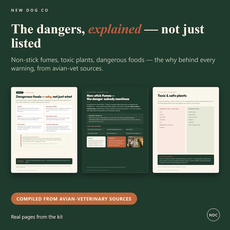 May include: Three informational pages from a pet care guide titled The dangers, explained &mdash; not just listed. The pages cover dangerous foods, non-stick fumes, and toxic or safe plants for birds, featuring text, charts, and a small photo of a parrot.