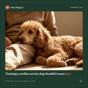 May include: A curly-haired apricot poodle resting on a person's lap. The image includes the text New Dog Co, Everyday Life, and Training a cardiac service dog shouldn't mean hype, along with the note Printable PDF - fill on your computer or by hand.