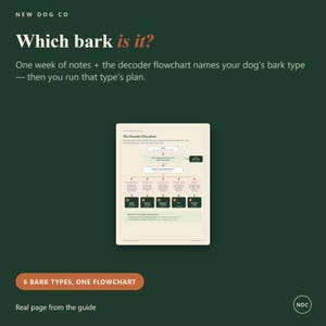 May include: A dark green informational graphic titled Which bark is it? featuring a beige page with The Decoder Flowchart. The chart uses arrows and boxes to categorize dog barking behaviors into six distinct types, with text explaining the process.