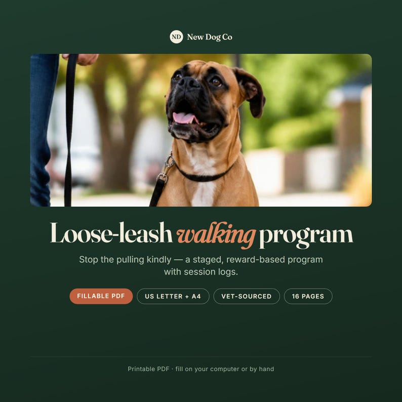 May include: A digital document titled Loose-leash walking program by New Dog Co. The graphic features a brown boxer dog on a leash, with text detailing a 16-page, fillable PDF programme in US Letter and A4 sizes, designed for reward-based training.