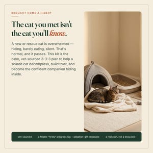 Peut inclure: Un panneau graphique beige avec le texte "BROUGHT HOME A HIDER? The cat you met isn't the cat you'll know." et une photo d'un chat tigr&eacute; sur une couverture cr&egrave;me devant une niche grise pour animal et un bac &agrave; liti&egrave;re en plastique.