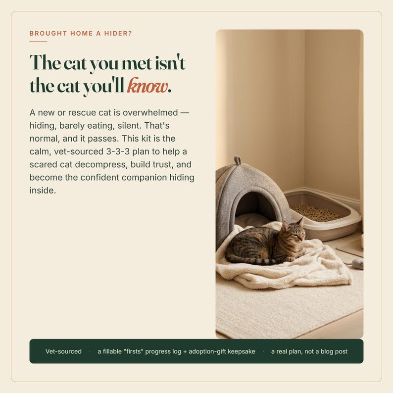 Peut inclure: Un panneau graphique beige avec le texte "BROUGHT HOME A HIDER? The cat you met isn't the cat you'll know." et une photo d'un chat tigr&eacute; sur une couverture cr&egrave;me devant une niche grise pour animal et un bac &agrave; liti&egrave;re en plastique.