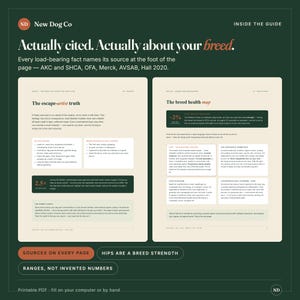 May include: A digital guide titled New Dog Co featuring two pages of text about dog breed health. The left page covers escape-artist truths, while the right page displays a breed health map with medical information. The background is dark green.