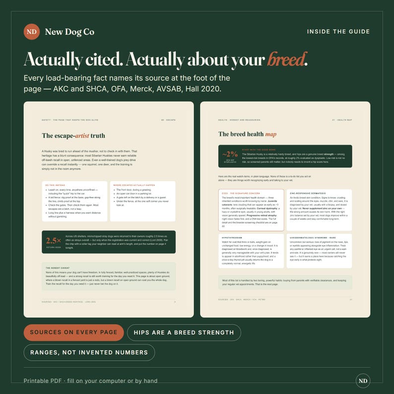 May include: A digital guide titled New Dog Co featuring two pages of text about dog breed health. The left page covers escape-artist truths, while the right page displays a breed health map with medical information. The background is dark green.