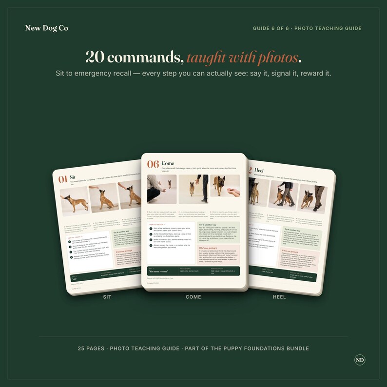 May include: A 25-page photo teaching guide titled New Dog Co, featuring 20 commands taught with photos. The guide displays three open pages labeled 01 Sit, 06 Come, and 02 Heel, each containing step-by-step instructions and photographs of a dog.