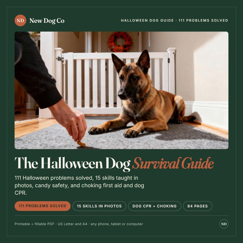 May include: A digital guide titled The Halloween Dog Survival Guide by New Dog Co. The cover features a brown and black dog lying on a gray mat in front of a white gate. Text includes 111 Halloween problems solved and 15 skills in photos.