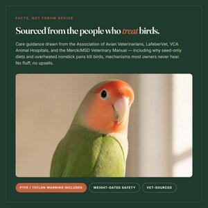 Puede incluir: Un inseparable de cara rosada con plumas verdes y una cara de color naranja brillante. El texto dice: Facts, not forum advice. Sourced from the people who treat birds. Care guidance drawn from the Association of Avian Veterinarians, LafeberVet, VCA Animal Hospitals, and the Merck/MSD Veterinary Manual. PTFE / Teflon warning included, weight-gated safety, vet-sourced.