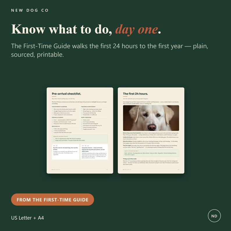 Kit de iniciación para nuevos dueños de perros / Guía del primer año, tablas de lenguaje corporal, plan de rescate 3-3-3 imagen 3