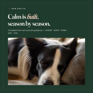 May include: A black and white dog with a white blaze on its face is sleeping on a textured surface. The dark green graphic above features the text: New Dog Co, Calm is built, season by season. Compiled from vet-sourced guidance &mdash; AVSAB, AAHA, AVMA, AKC, VCA.