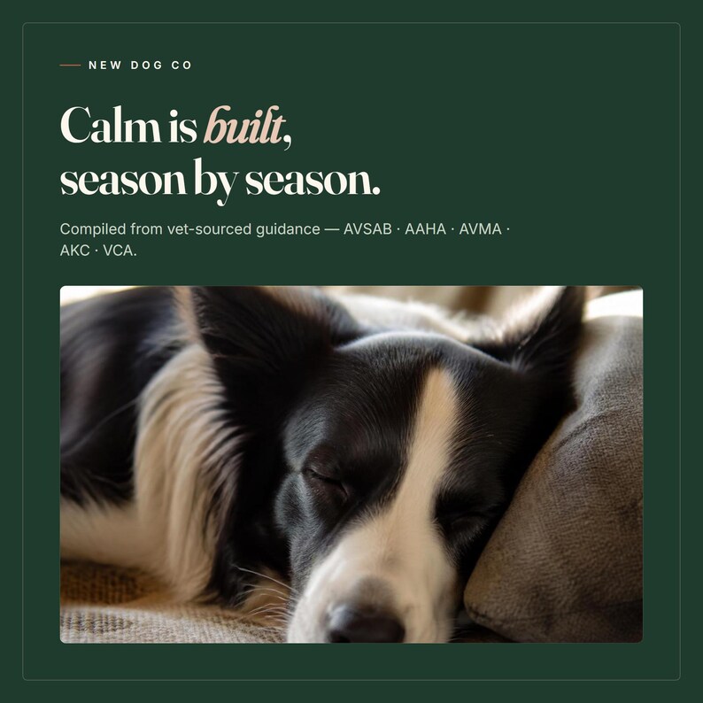 May include: A black and white dog with a white blaze on its face is sleeping on a textured surface. The dark green graphic above features the text: New Dog Co, Calm is built, season by season. Compiled from vet-sourced guidance &mdash; AVSAB, AAHA, AVMA, AKC, VCA.