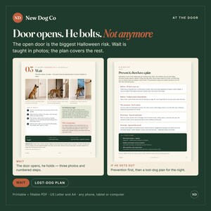 May include: A digital guide titled New Dog Co At The Door featuring two pages. The left page titled Wait shows three photos of a dog and numbered training steps. The right page titled If He Gets Out lists prevention and search plans.
