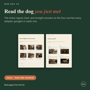 Op de afbeelding: Twee informatiepagina's uit de New Dog Co kit getiteld Read the dog you just met. De pagina's bevatten een stresssignaaltabel met hondenfoto's en een sectie getiteld Is this normal? op een donkergroene achtergrond.