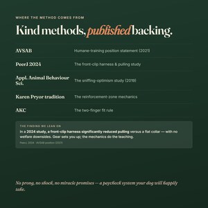 May include: A dark green informational graphic titled Where the method comes from, Kind methods, published backing. It lists sources like AVSAB, PeerJ 2024, Appl. Animal Behaviour Sci., Karen Pryor tradition, and AKC with their respective study topics.