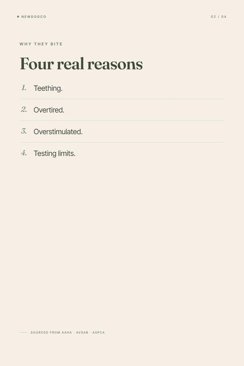 May include: A beige informational graphic from NewDogCo lists four reasons why dogs bite: teething, overtiredness, overstimulation, and testing limits. The text is in a dark green font. The graphic is sourced from AAHA, AVSAB, and ASPCA.