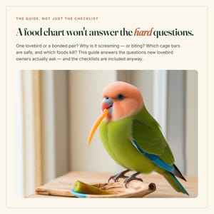Puede incluir: Un inseparable con cabeza color melocot&oacute;n y cuerpo verde sostiene una rodaja de naranja en el pico. El texto dice: THE GUIDE, NOT JUST THE CHECKLIST. A food chart won't answer the hard questions. One lovebird or a bonded pair? Why is it screaming &mdash; or biting?