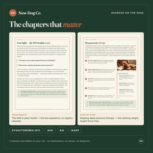 May include: A dark green informational graphic titled The chapters that matter by New Dog Co. It features two pages of text explaining service dog rights under the ADA and deep pressure therapy techniques, including a photo of a dog on a lap.