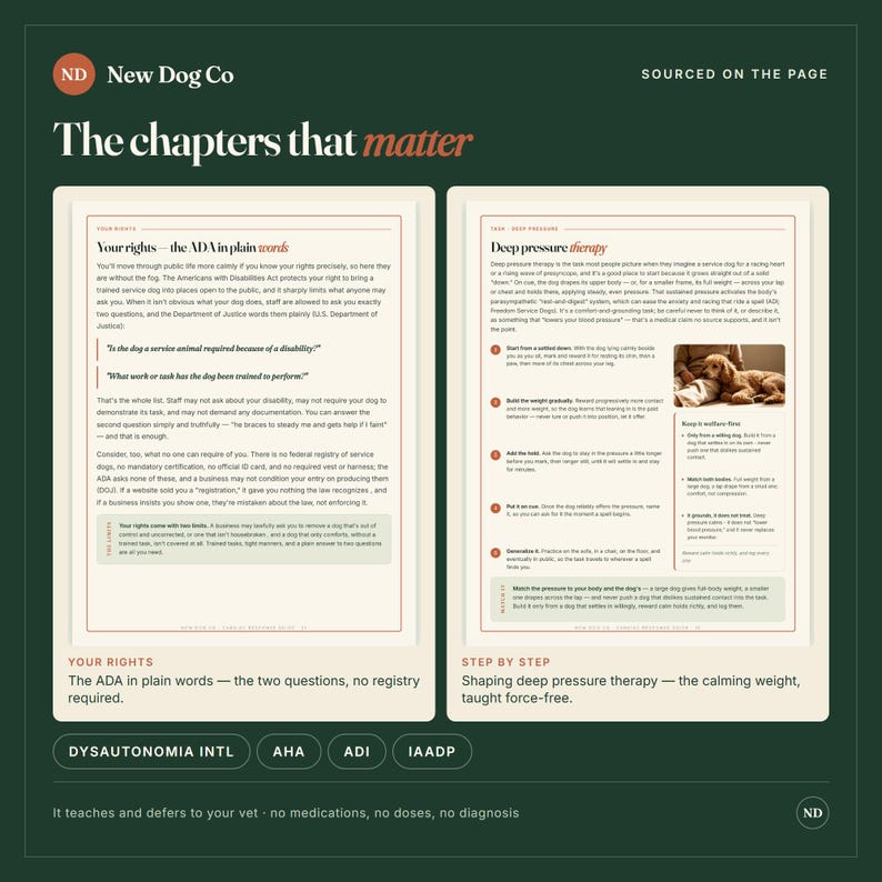 May include: A dark green informational graphic titled The chapters that matter by New Dog Co. It features two pages of text explaining service dog rights under the ADA and deep pressure therapy techniques, including a photo of a dog on a lap.