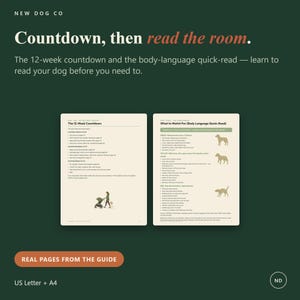 May include: Two pages from a dog training guide titled New Dog Co. The left page outlines a 12-week countdown, while the right page features a body-language quick-read chart with green, yellow, and red sections, each accompanied by dog silhouettes.