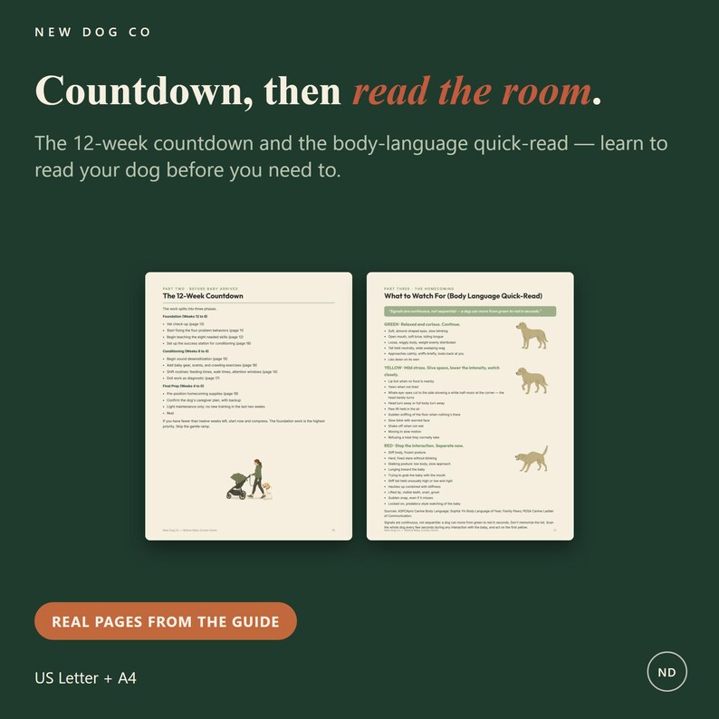 May include: Two pages from a dog training guide titled New Dog Co. The left page outlines a 12-week countdown, while the right page features a body-language quick-read chart with green, yellow, and red sections, each accompanied by dog silhouettes.