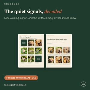 Op de afbeelding: Twee educatieve pagina's van New Dog Co. getiteld The quiet signals, decoded. De linkerpagina toont negen kalmerende signalen met foto's van een gele Labrador, terwijl de rechterpagina zes gezichten toont die elke eigenaar moet kennen.
