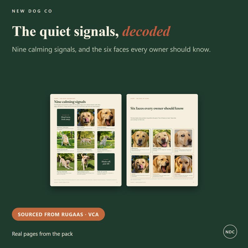 Op de afbeelding: Twee educatieve pagina's van New Dog Co. getiteld The quiet signals, decoded. De linkerpagina toont negen kalmerende signalen met foto's van een gele Labrador, terwijl de rechterpagina zes gezichten toont die elke eigenaar moet kennen.