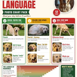 May include: A 12-page educational chart pack titled Dog Body Language, featuring photographs of a yellow Labrador. It includes sections color-coded green, yellow, and red to explain canine behaviors, a ladder of warnings, and a list of included contents.