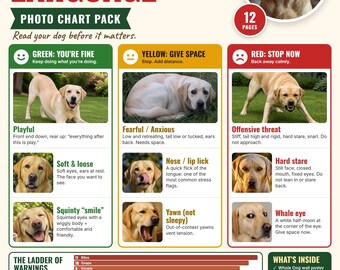 Tableau du langage corporel canin, photos des signes comportementaux, affiche de sécurité (PDF anglais/espagnol)