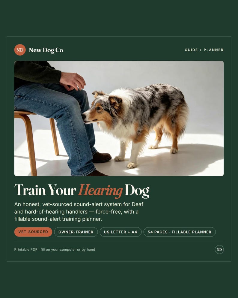 Pode incluir: Um guia e planejador digital intitulado Train Your Hearing Dog da New Dog Co. O documento apresenta uma fotografia de um c&atilde;o pastor australiano blue merle, tem 54 p&aacute;ginas e est&aacute; dispon&iacute;vel nos formatos US Letter e A4 como PDF imprim&iacute;vel.