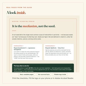 Puede incluir: Una p&aacute;gina de documento digital titulada A look inside, con texto sobre nutrici&oacute;n aviar. Explica el mecanismo de las dietas basadas solo en semillas, consecuencias como la hipovitaminosis A y lipidosis hep&aacute;tica, y recomienda pellets y vegetales.