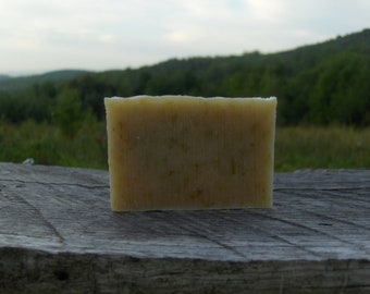 Bog Dog Doggie Soap with Lemongrass, Oat Straw, Carrot  and so much more- Belle Savon Vermont