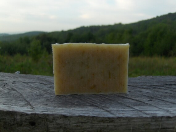 Bog Dog Soap: Lemongrass, Oat Straw, Carrot All Natural Doggie