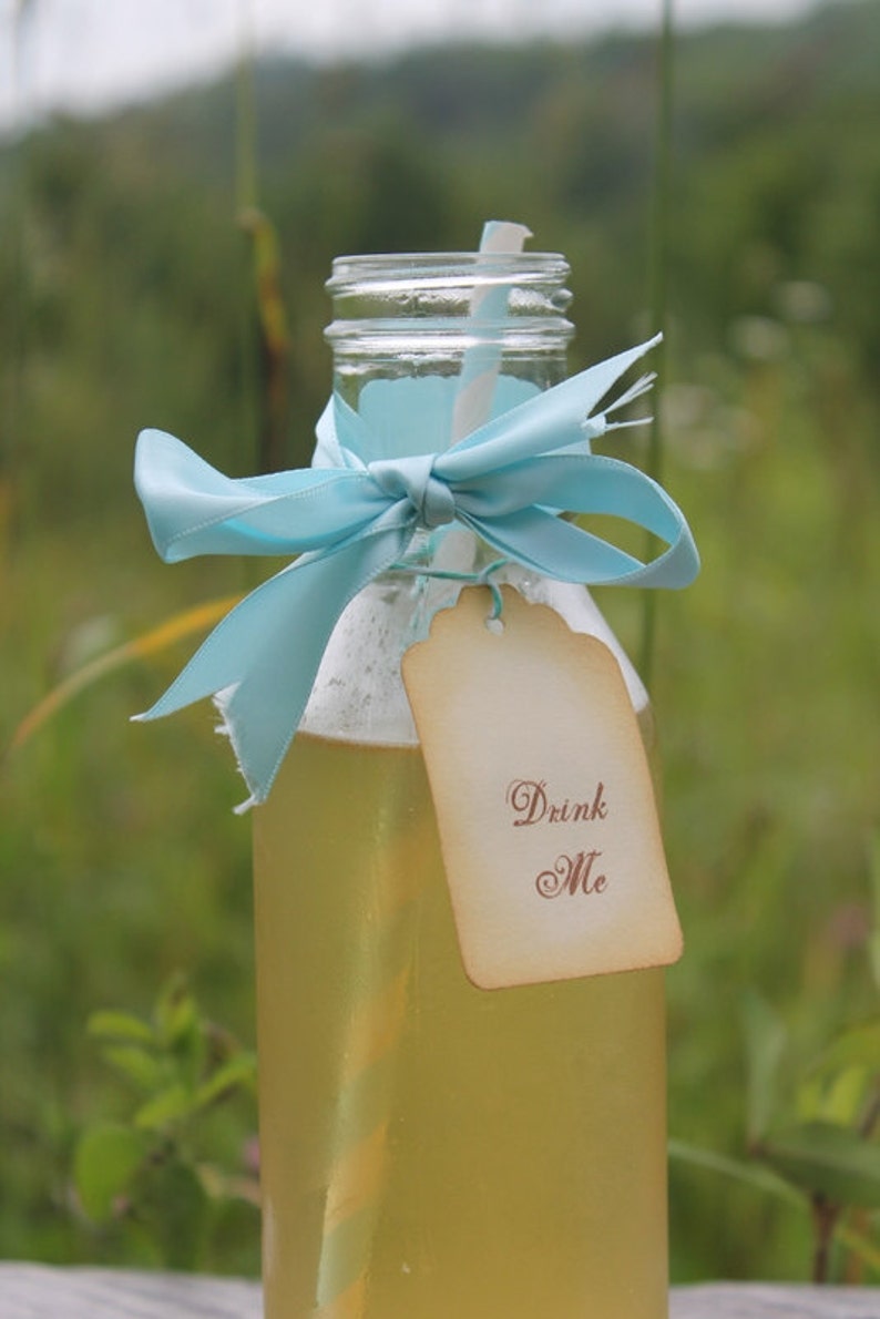 Iced Tea Party Favor Weddingbridal Showerbaby Etsy