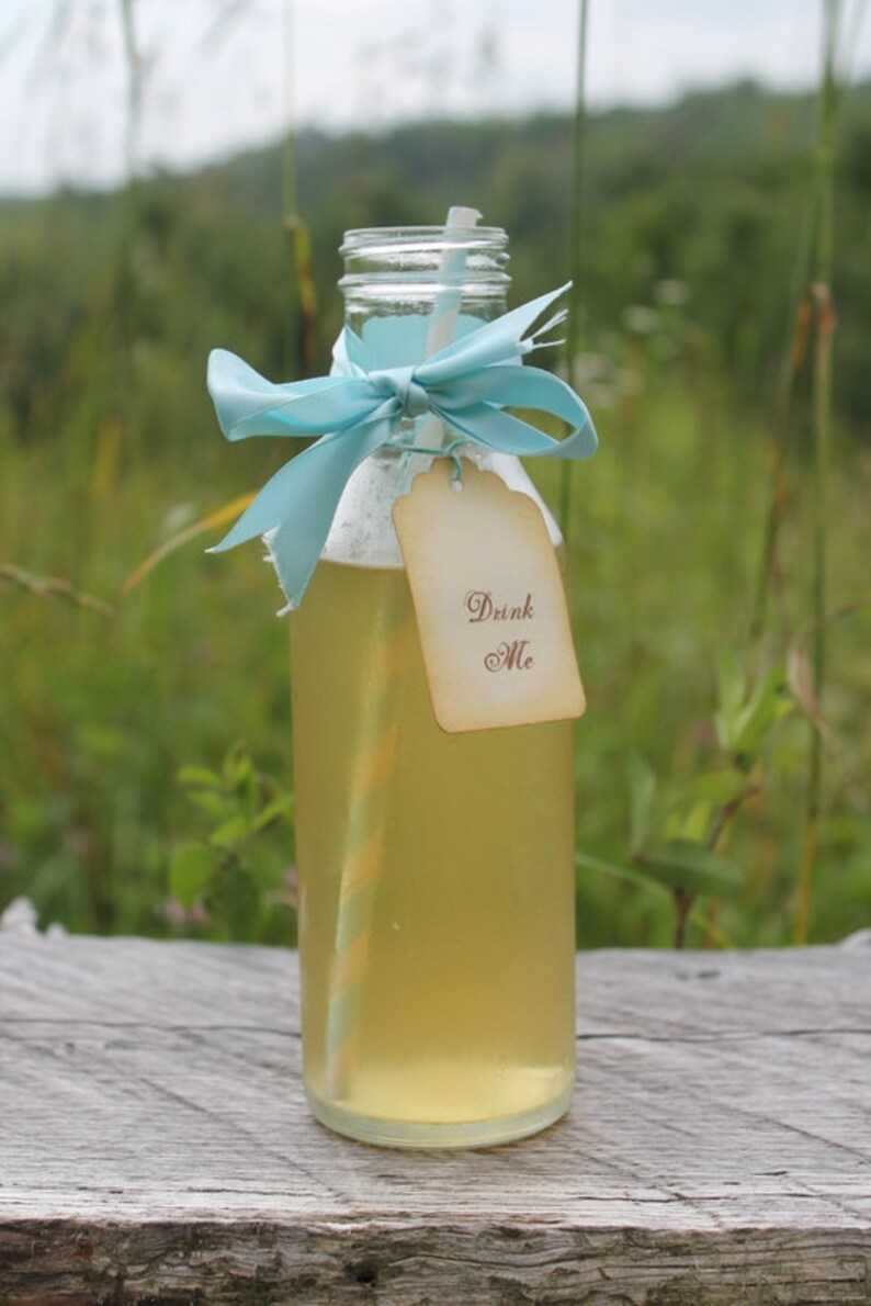 Iced Tea Party Favor Weddingbridal Showerbaby Etsy