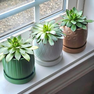 May include: Three green succulent plants in ceramic pots with matching saucers. The first pot is dark green with vertical ridges, the second is light gray with a diamond pattern, and the third is metallic bronze with a circular dimple texture.