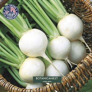 May include: A collection of fresh white turnips with long green stems packed inside a woven brown wicker basket. A circular blue and white logo in the top left corner reads USA GROWN LOCAL FARMERS SUPPORT. The text BOTANICANEST is centered.