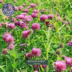 Könnte beinhalten: Ein Feld mit leuchtend rosa Kleepflanzen mit grünen Blättern und Stängeln. Ein blaues, kreisförmiges Logo in der oberen linken Ecke zeigt einen weißen Stern, Streifen und den Text USA GROWN LOCAL FARMERS SUPPORT. Unten steht der Text BOTANICANEST.
